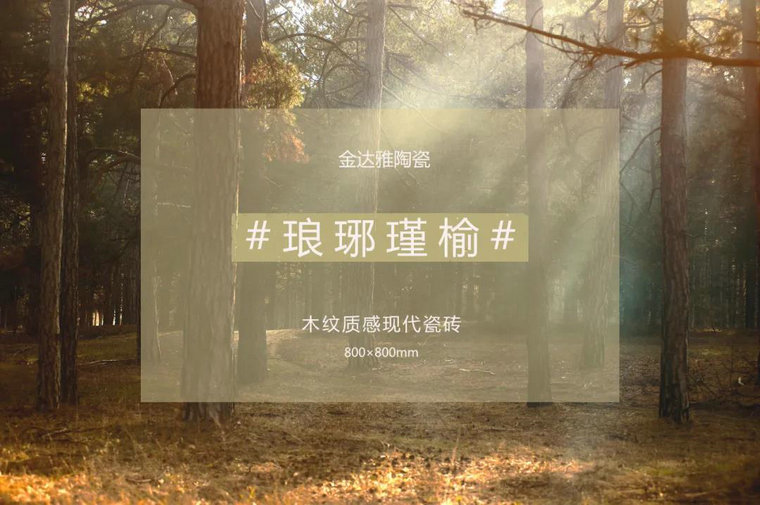 仿古磚加盟,仿古磚招商,仿古磚十大品牌,金達雅瓷磚,噴墨磚