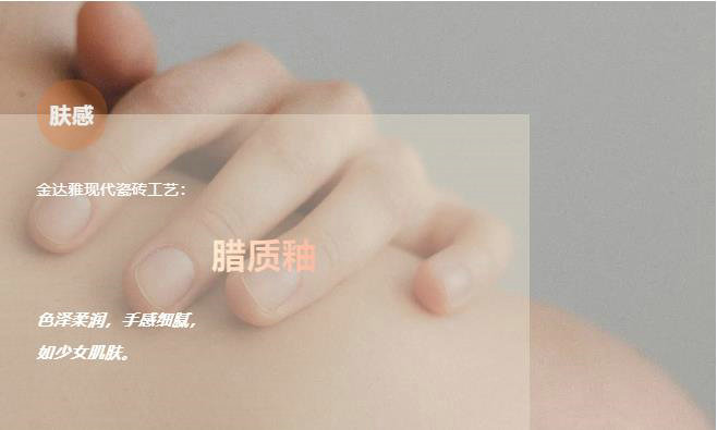 仿古磚加盟,仿古磚招商,仿古磚十大品牌,金達雅瓷磚,噴墨磚